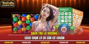 Bạch thủ lô