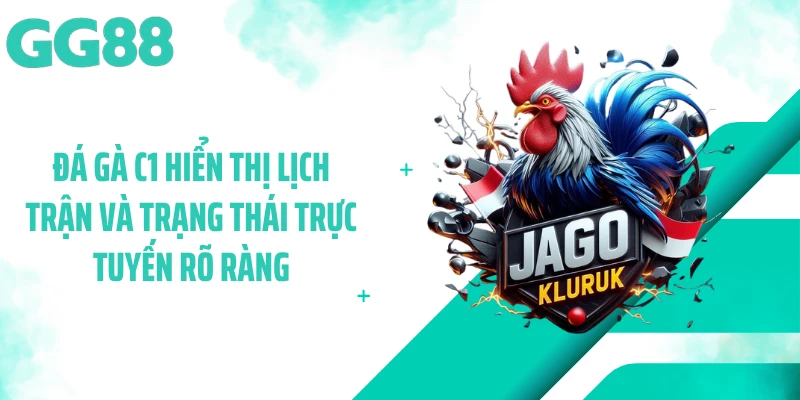 Đá gà C1 hiển thị lịch trận và trạng thái trực tuyến rõ ràng