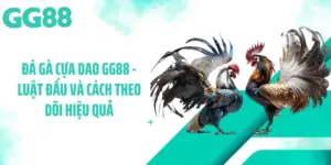 Đá Gà Cựa Dao GG88 - Luật Đấu Và Cách Theo Dõi Hiệu Quả
