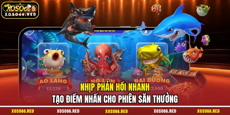 Nhịp phản hồi nhanh tạo điểm nhấn cho phiên săn thưởng
