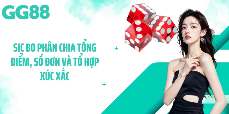 Sic Bo phân chia tổng điểm, số đơn và tổ hợp xúc xắc